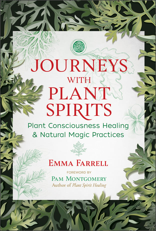 Journeys with Plant Spirits