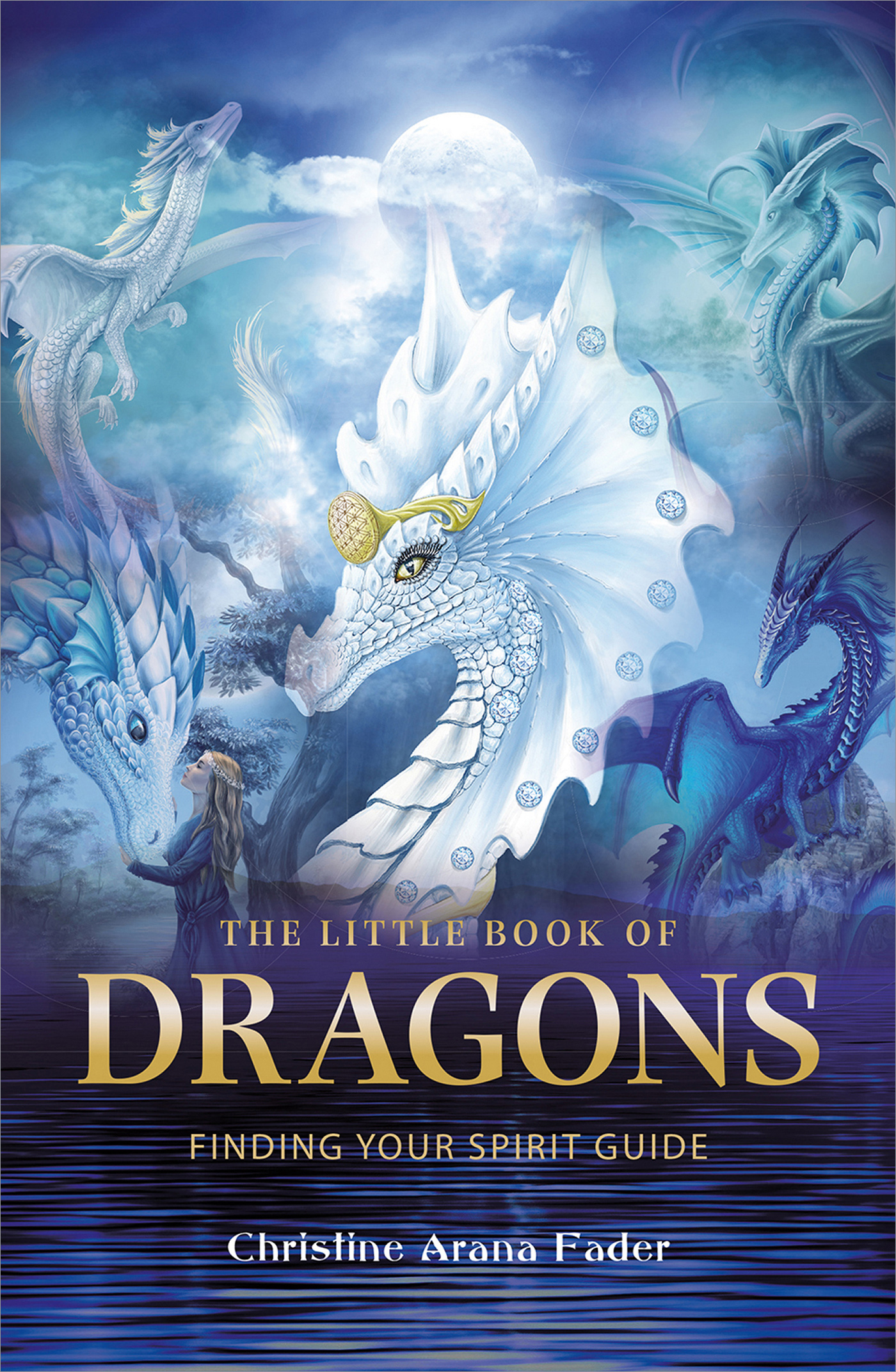 The Little Book of Dragon