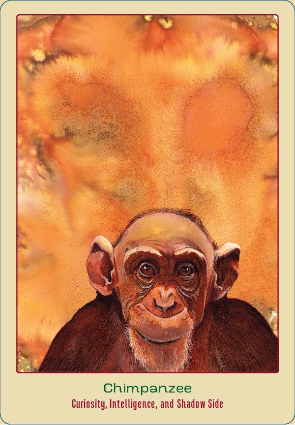 Chimpanzee Card