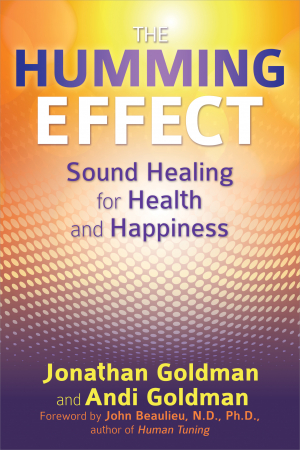 The Humming Effect by Jonathan and Andi Goldman