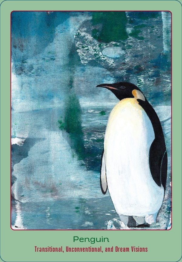 Penguin Card