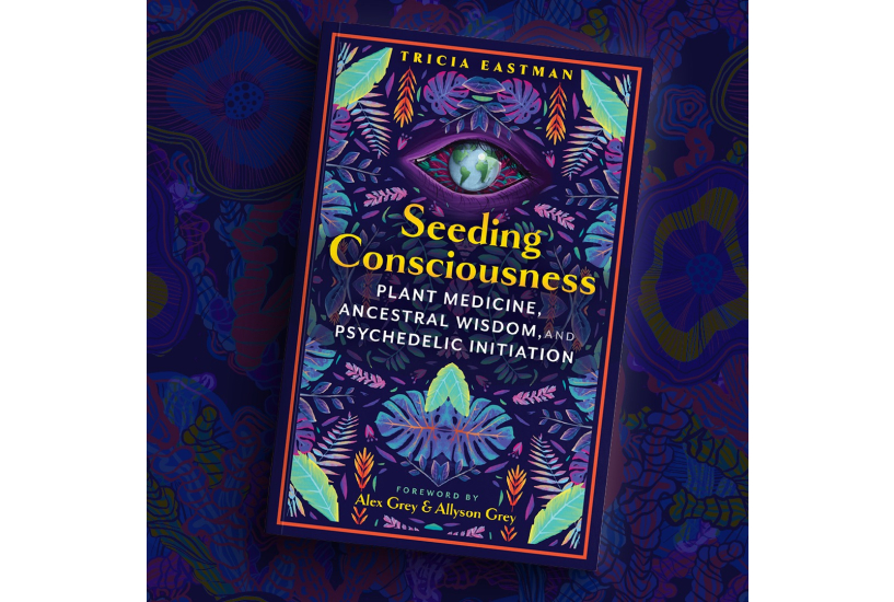 Seeding Consciousness: How Art and Initiatory Frameworks Can Transform Business and Society by Tricia Eastman