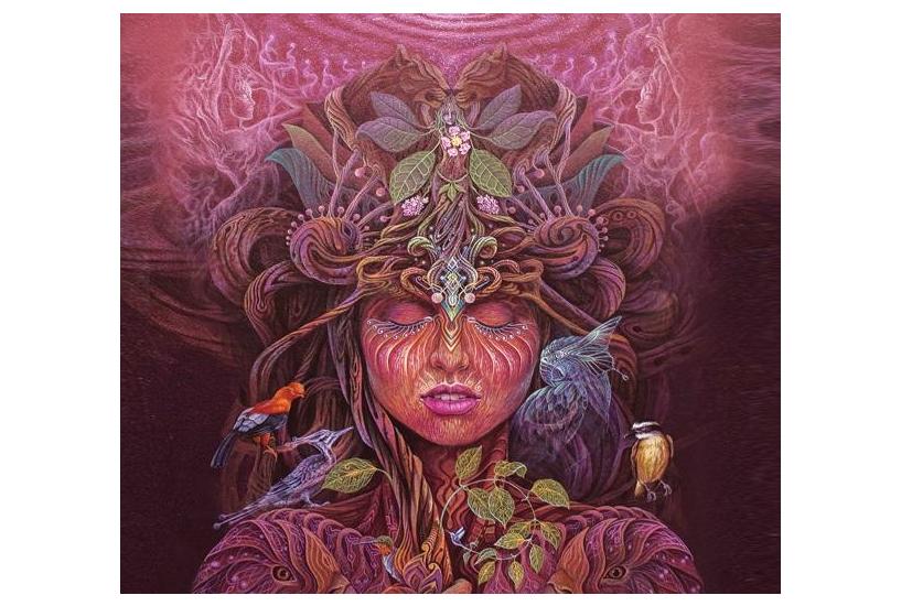 The Light of Ayahuasca