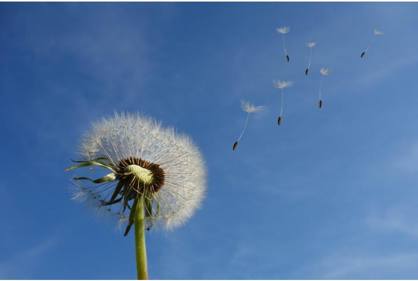 Bringing Breath to Life