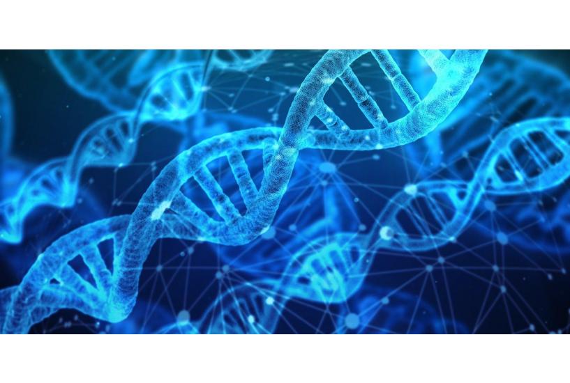 The Cosmic Serpent, Astrology, DNA, and Miraculous Powers