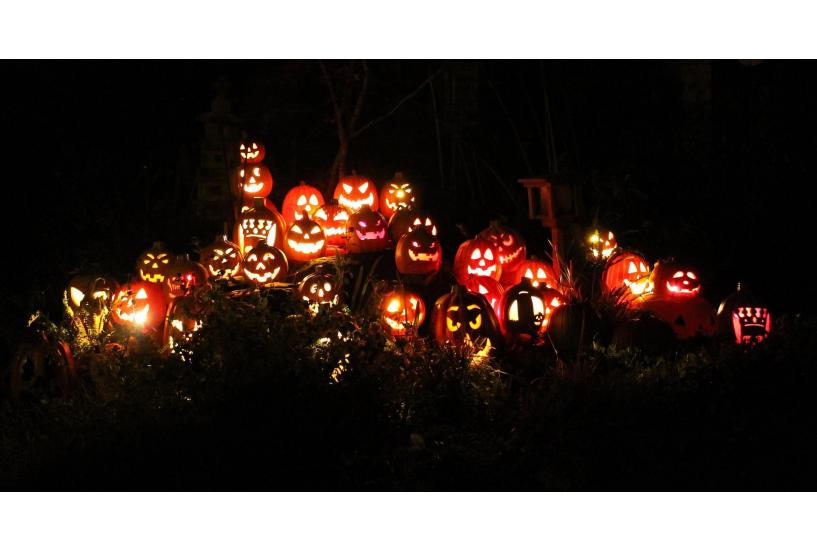 Celebrating Samhain with Plants