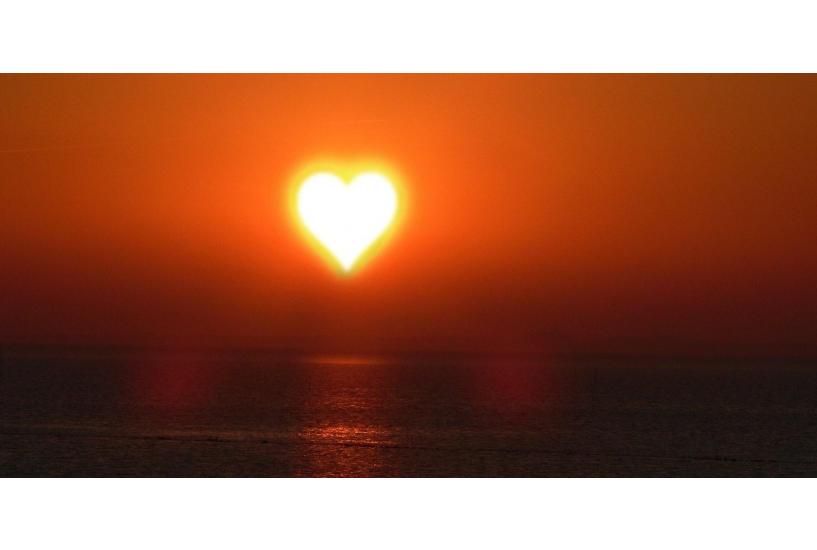 sun-love