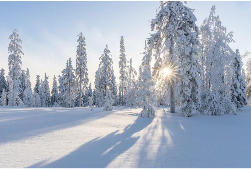 Magical Yuletide: The year’s great pause