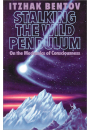 Stalking the Wild Pendulum