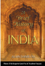 A Brief History of India