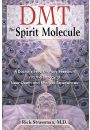 DMT: The Spirit Molecule