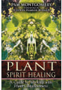 Plant Spirit Healing
