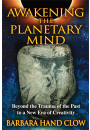 Awakening the Planetary Mind