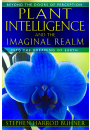 Plant Intelligence and the Imaginal Realm
