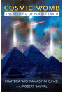 Cosmic Womb