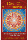 DMT and the Soul of Prophecy