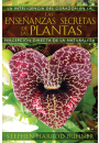 Las enseñanzas secretas de las plantas