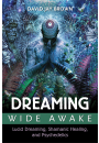 Dreaming Wide Awake