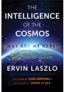 The Intelligence of the Cosmos