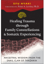 Healing Trauma through Family Constellations and Somatic Experiencing