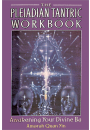 The Pleiadian Tantric Workbook