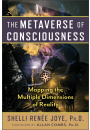 The Metaverse of Consciousness