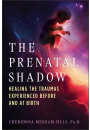 The Prenatal Shadow