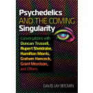 Psychedelics and the Coming Singularity