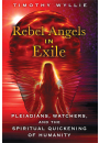 Rebel Angels in Exile