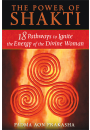 The Power of Shakti