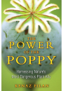 The Power of the Poppy