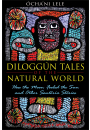 Diloggún Tales of the Natural World