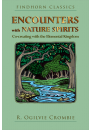 Encounters with Nature Spirits