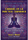 Chakras en la práctica chamánica