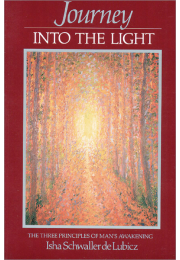 Journey into the Light