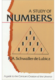 A Study of Numbers