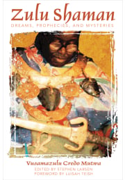 Zulu Shaman