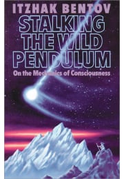 Stalking the Wild Pendulum