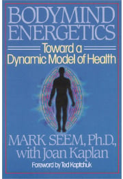Bodymind Energetics