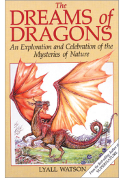 The Dreams of Dragons