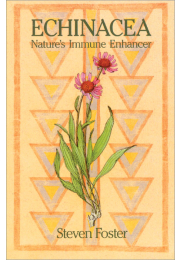 Echinacea