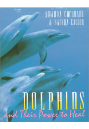 Dolphins and Their Power to Heal