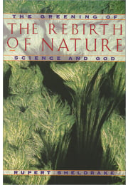 The Rebirth of Nature