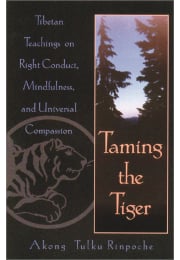 Taming the Tiger