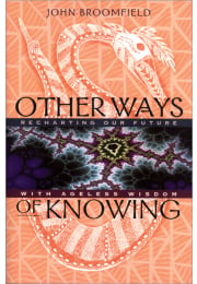 Other Ways of Knowing