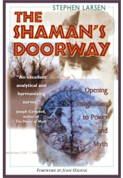 The Shaman's Doorway