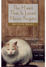 The Heart That Is Loved Never Forgets