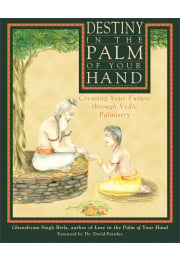 Destiny in the Palm of Your Hand