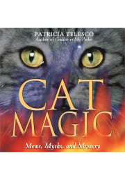 Cat Magic