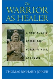 The Warrior As Healer